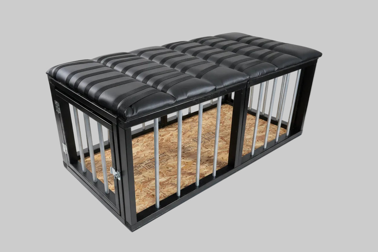 Bondage Table (Metal Cage)