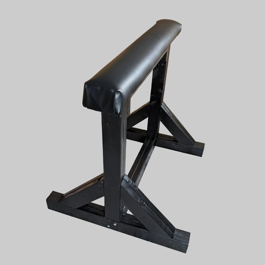 Pommel Horse BDSM